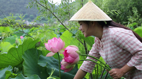 荷花宴:蒸,炒,舂,炸,凉拌你喜欢那种?